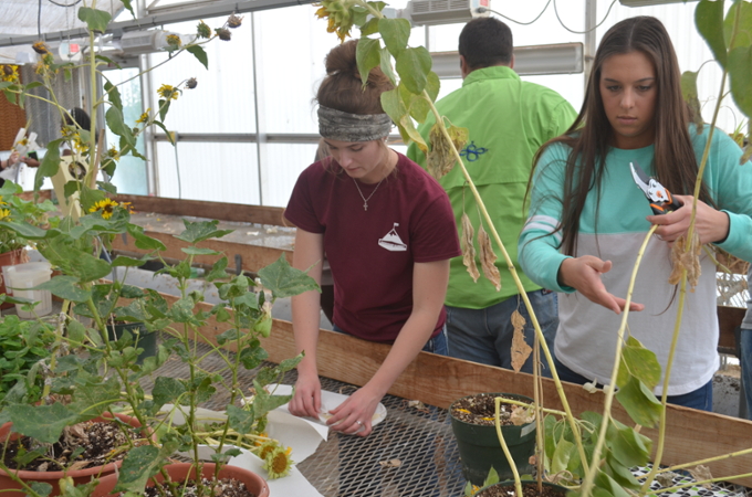 Greenhouse.Student.photo